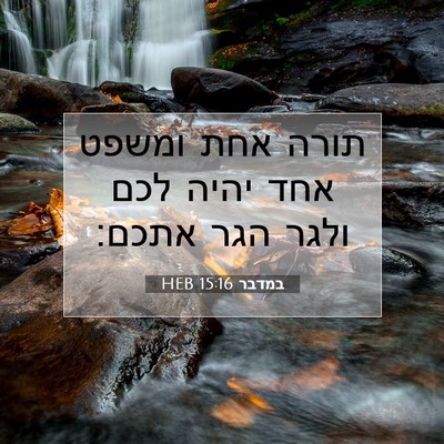 Picture 07 - במדבר 15:16 HEB - תורה אחת ומשפט אחד יהיה לכם - Bible Verse Picture