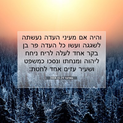 Picture 07 - במדבר 15:24 HEB - והיה אם מעיני העדה נעשתה - Bible Verse Picture