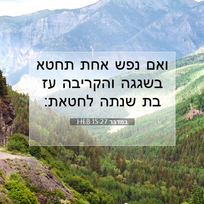 Picture 07 - במדבר 15:27 HEB - ואם נפש אחת תחטא בשגגה - Bible Verse Picture