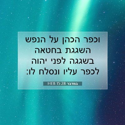 Picture 07 - במדבר 15:28 HEB - וכפר הכהן על הנפש השגגת - Bible Verse Picture