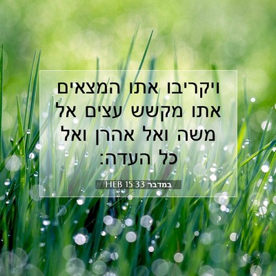 Picture 07 - במדבר 15:33 HEB - ויקריבו אתו המצאים אתו - Bible Verse Picture