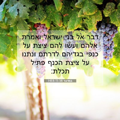 Picture 07 - במדבר 15:38 HEB - דבר אל בני ישראל ואמרת אלהם - Bible Verse Picture