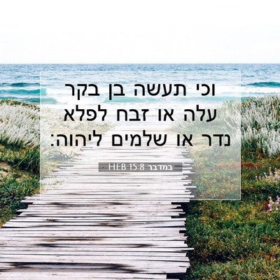 Picture 07 - במדבר 15:8 HEB - וכי תעשה בן בקר עלה או זבח - Bible Verse Picture
