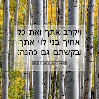 Picture 07 - במדבר 16:10 HEB - ויקרב אתך ואת כל אחיך בני - Bible Verse Picture