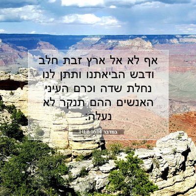 Picture 07 - במדבר 16:14 HEB - אף לא אל ארץ זבת חלב ודבש - Bible Verse Picture