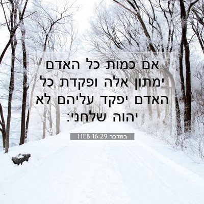 Picture 07 - במדבר 16:29 HEB - אם כמות כל האדם ימתון אלה - Bible Verse Picture