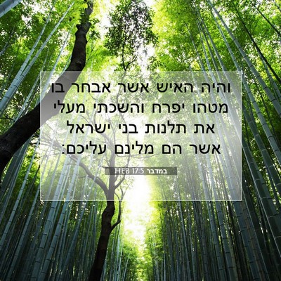Picture 07 - במדבר 17:5 HEB - והיה האיש אשר אבחר בו מטהו - Bible Verse Picture