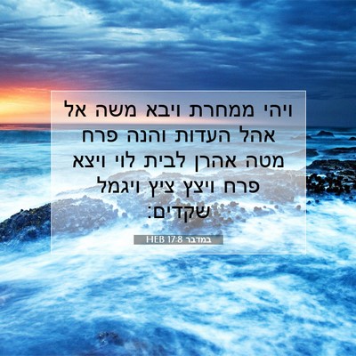 Picture 07 - במדבר 17:8 HEB - ויהי ממחרת ויבא משה אל אהל - Bible Verse Picture