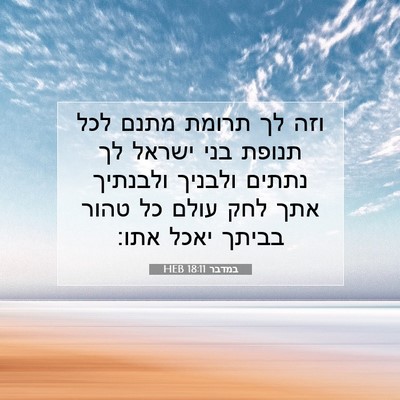 Picture 07 - במדבר 18:11 HEB - וזה לך תרומת מתנם לכל תנופת - Bible Verse Picture