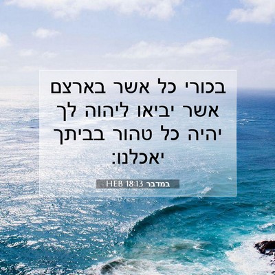 Picture 07 - במדבר 18:13 HEB - בכורי כל אשר בארצם אשר - Bible Verse Picture