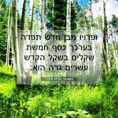 Picture 07 - במדבר 18:16 HEB - ופדויו מבן חדש תפדה בערכך - Bible Verse Picture