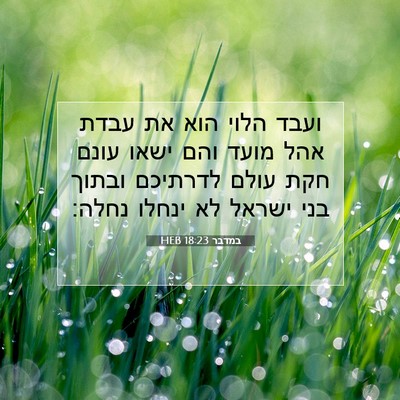 Picture 07 - במדבר 18:23 HEB - ועבד הלוי הוא את עבדת אהל - Bible Verse Picture
