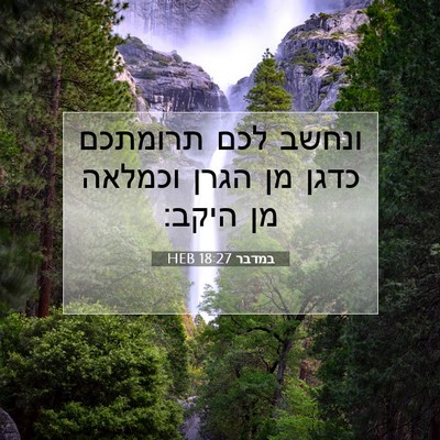 Picture 07 - במדבר 18:27 HEB - ונחשב לכם תרומתכם כדגן מן - Bible Verse Picture