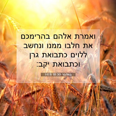 Picture 07 - במדבר 18:30 HEB - ואמרת אלהם בהרימכם את חלבו - Bible Verse Picture