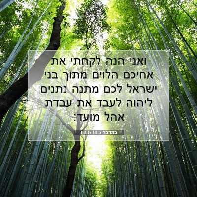 Picture 07 - במדבר 18:6 HEB - ואני הנה לקחתי את אחיכם - Bible Verse Picture