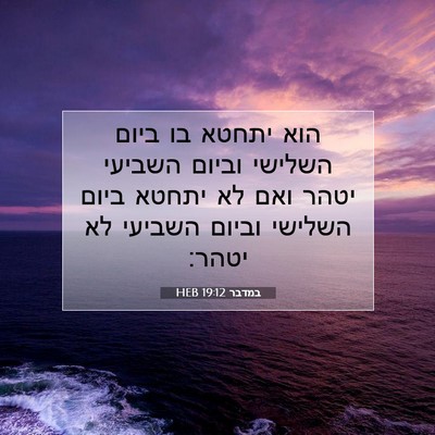 Picture 07 - במדבר 19:12 HEB - הוא יתחטא בו ביום השלישי - Bible Verse Picture