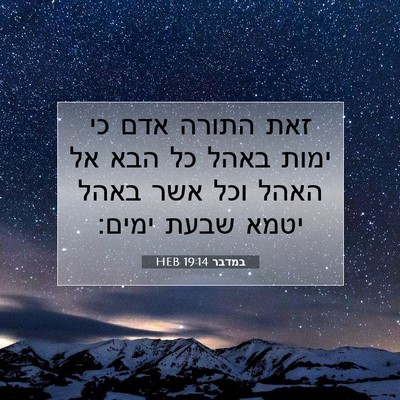 Picture 07 - במדבר 19:14 HEB - זאת התורה אדם כי ימות באהל - Bible Verse Picture