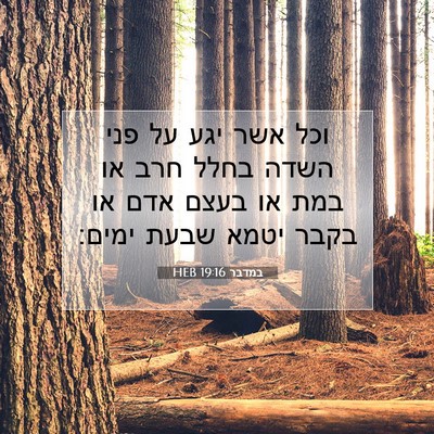Picture 07 - במדבר 19:16 HEB - וכל אשר יגע על פני השדה - Bible Verse Picture