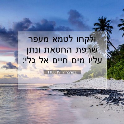 Picture 07 - במדבר 19:17 HEB - ולקחו לטמא מעפר שרפת החטאת - Bible Verse Picture