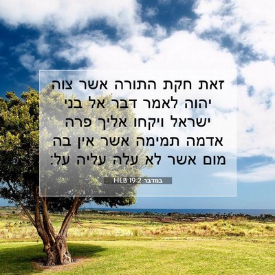 Picture 07 - במדבר 19:2 HEB - זאת חקת התורה אשר צוה יהוה - Bible Verse Picture