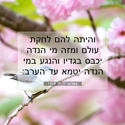 Picture 07 - במדבר 19:21 HEB - והיתה להם לחקת עולם ומזה מי - Bible Verse Picture