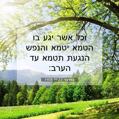 Picture 07 - במדבר 19:22 HEB - וכל אשר יגע בו הטמא יטמא - Bible Verse Picture