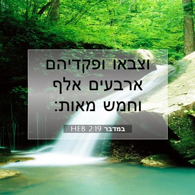 Picture 07 - במדבר 2:19 HEB - וצבאו ופקדיהם ארבעים אלף - Bible Verse Picture