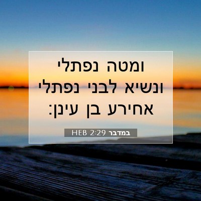 Picture 07 - במדבר 2:29 HEB - ומטה נפתלי ונשיא לבני - Bible Verse Picture