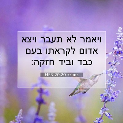 Picture 07 - במדבר 20:20 HEB - ויאמר לא תעבר ויצא אדום - Bible Verse Picture