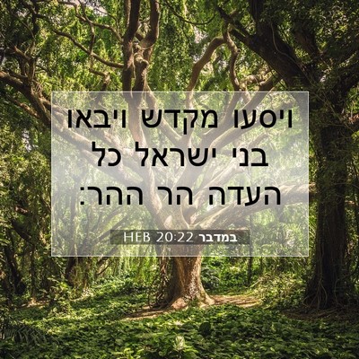 Picture 07 - במדבר 20:22 HEB - ויסעו מקדש ויבאו בני ישראל - Bible Verse Picture