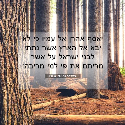 Picture 07 - במדבר 20:24 HEB - יאסף אהרן אל עמיו כי לא יבא - Bible Verse Picture