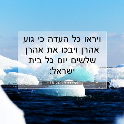 Picture 07 - במדבר 20:29 HEB - ויראו כל העדה כי גוע אהרן - Bible Verse Picture