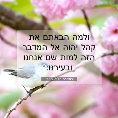 Picture 07 - במדבר 20:4 HEB - ולמה הבאתם את קהל יהוה אל - Bible Verse Picture