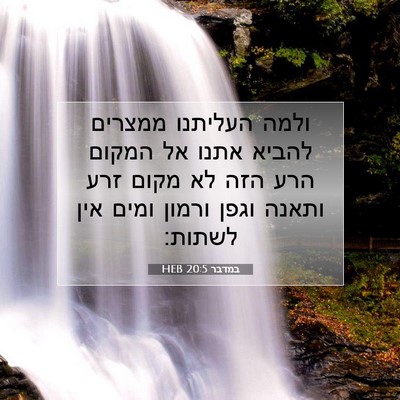 Picture 07 - במדבר 20:5 HEB - ולמה העליתנו ממצרים להביא - Bible Verse Picture