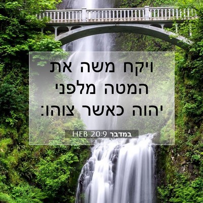 Picture 07 - במדבר 20:9 HEB - ויקח משה את המטה מלפני יהוה - Bible Verse Picture