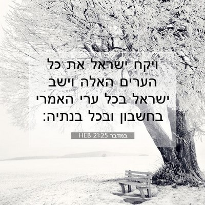 Picture 07 - במדבר 21:25 HEB - ויקח ישראל את כל הערים האלה - Bible Verse Picture