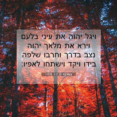 Picture 07 - במדבר 22:31 HEB - ויגל יהוה את עיני בלעם וירא - Bible Verse Picture