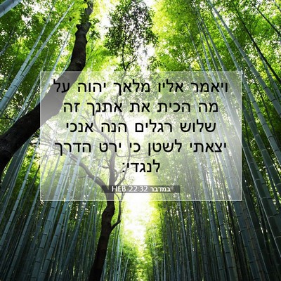 Picture 07 - במדבר 22:32 HEB - ויאמר אליו מלאך יהוה על מה - Bible Verse Picture