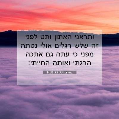 Picture 07 - במדבר 22:33 HEB - ותראני האתון ותט לפני זה - Bible Verse Picture