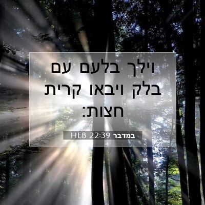 Picture 07 - במדבר 22:39 HEB - וילך בלעם עם בלק ויבאו קרית - Bible Verse Picture
