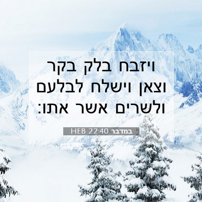 Picture 07 - במדבר 22:40 HEB - ויזבח בלק בקר וצאן וישלח - Bible Verse Picture