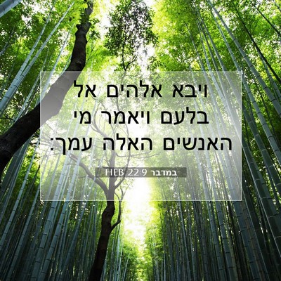 Picture 07 - במדבר 22:9 HEB - ויבא אלהים אל בלעם ויאמר מי - Bible Verse Picture