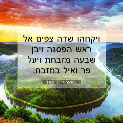 Picture 07 - במדבר 23:14 HEB - ויקחהו שדה צפים אל ראש - Bible Verse Picture