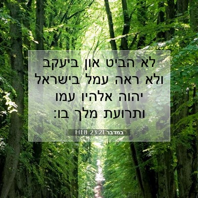 Picture 07 - במדבר 23:21 HEB - לא הביט און ביעקב ולא ראה - Bible Verse Picture