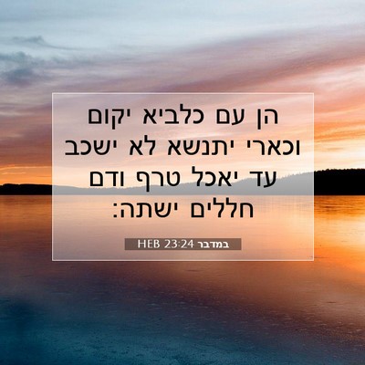 Picture 07 - במדבר 23:24 HEB - הן עם כלביא יקום וכארי - Bible Verse Picture