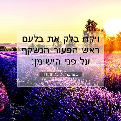 Picture 07 - במדבר 23:28 HEB - ויקח בלק את בלעם ראש הפעור - Bible Verse Picture