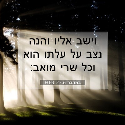 Picture 07 - במדבר 23:6 HEB - וישב אליו והנה נצב על עלתו - Bible Verse Picture