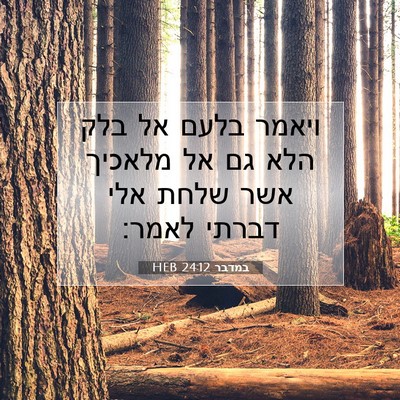 Picture 07 - במדבר 24:12 HEB - ויאמר בלעם אל בלק הלא גם אל - Bible Verse Picture