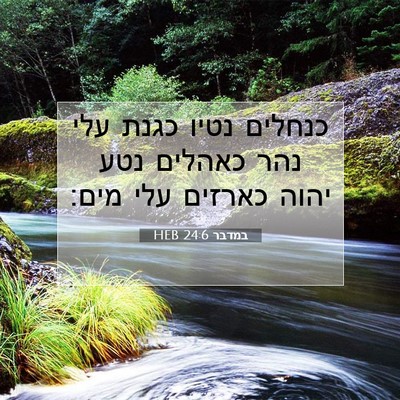 Picture 07 - במדבר 24:6 HEB - כנחלים נטיו כגנת עלי נהר - Bible Verse Picture