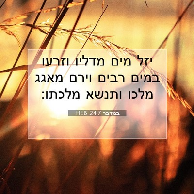 Picture 07 - במדבר 24:7 HEB - יזל מים מדליו וזרעו במים - Bible Verse Picture